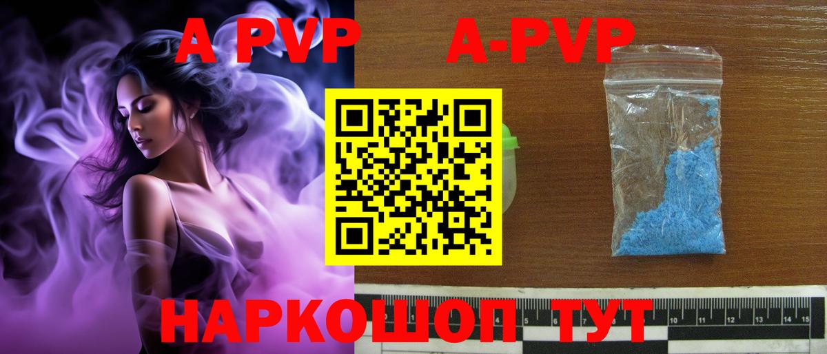 Alfa_PVP СК Королёв